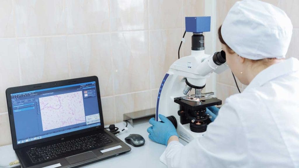 The Journey from Concept to Prototype