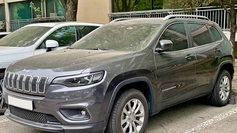 Image Credit : CC BY-SA 4.0 / wikipedia