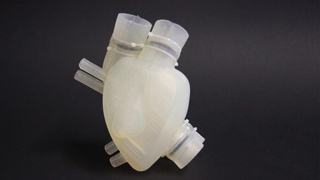 3D-Printed Organs