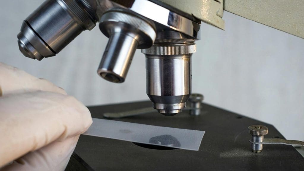 Bioengineered Materials for Defense