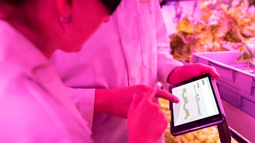 Comparative Analysis with Known Intelligent Species