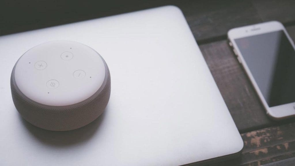 Digital Assistants and Voice Control