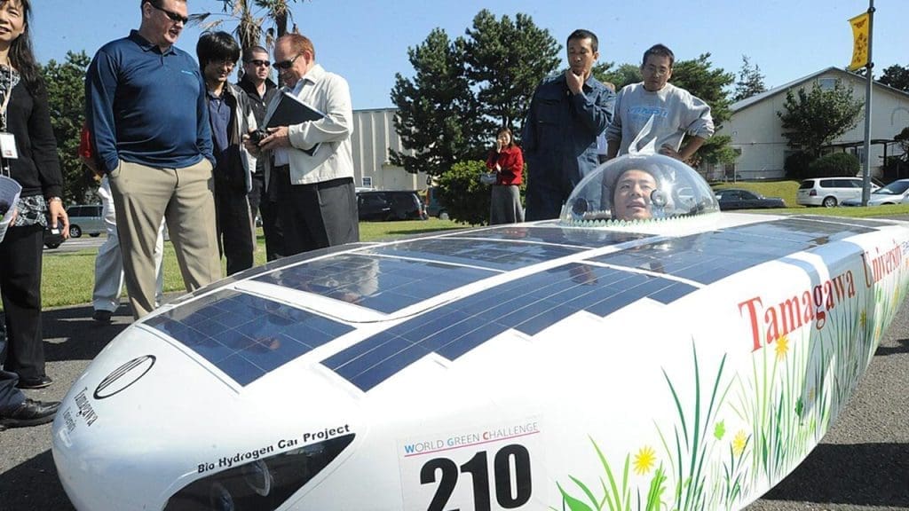 Policy and Regulatory Landscape