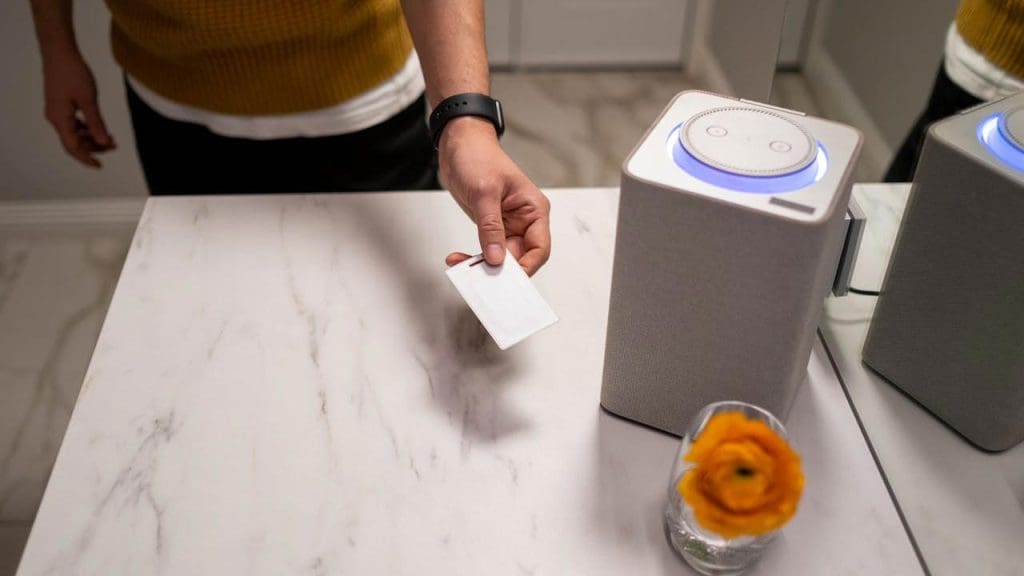 Smart Home Assistants