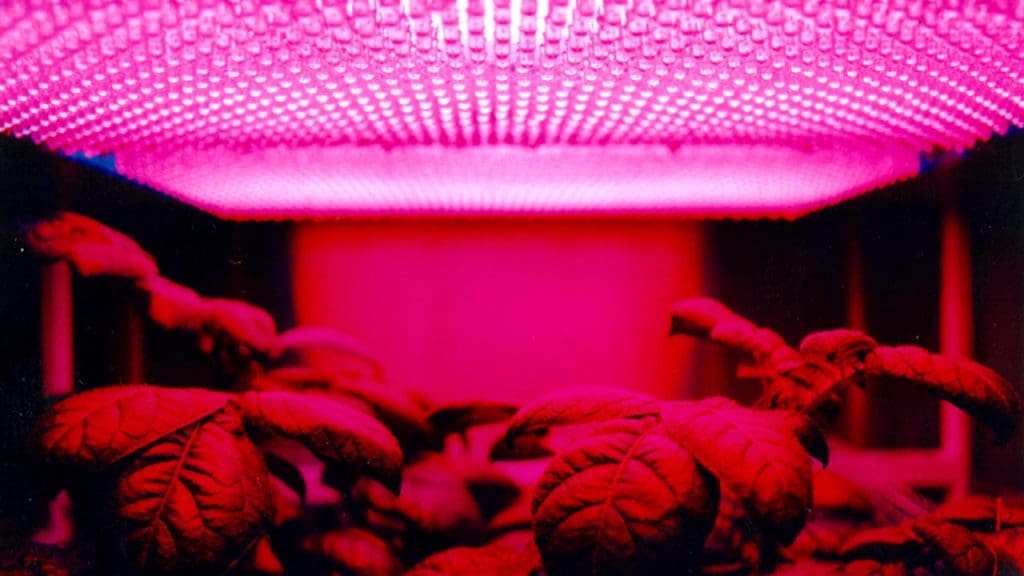 Space Farming Experiments