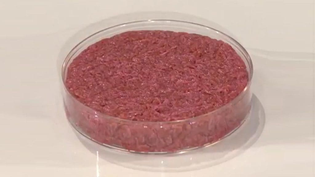 Synthetic Meat Production