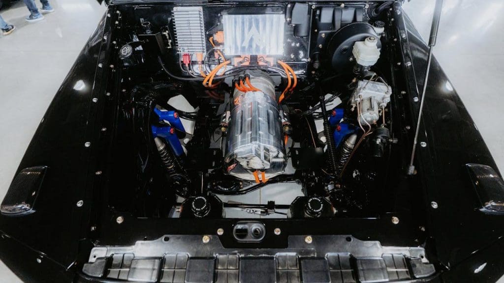 Technological Innovation and Adaptation