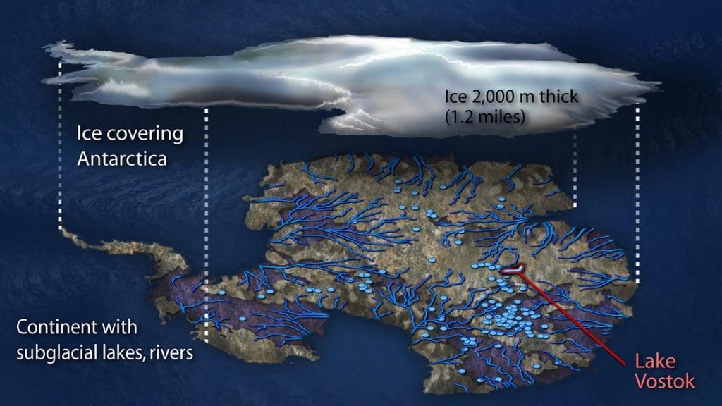 Image Credit: Zina Deretsky-Public Domain/Wiki Commons