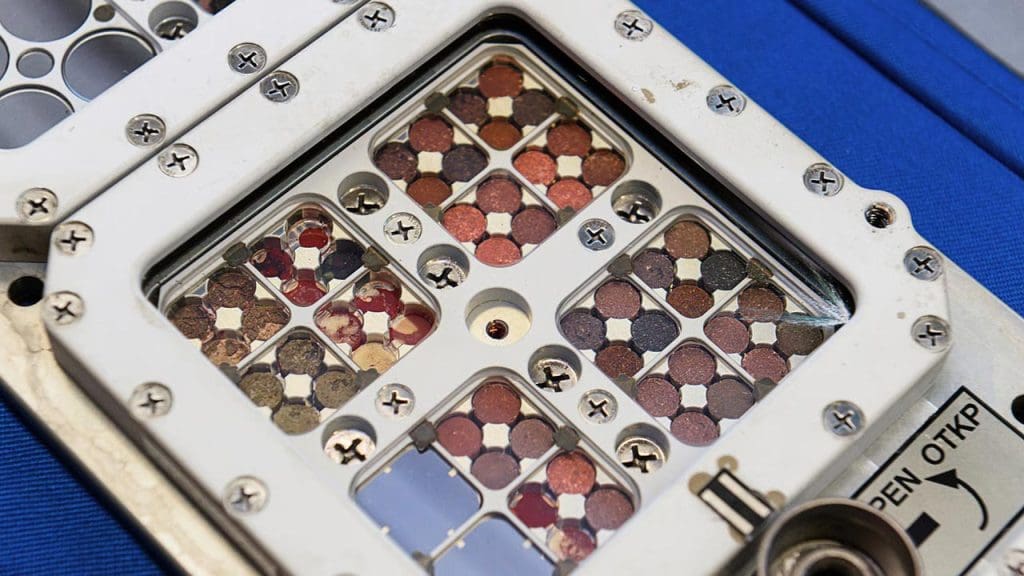 The Organisms that Defied the Odds