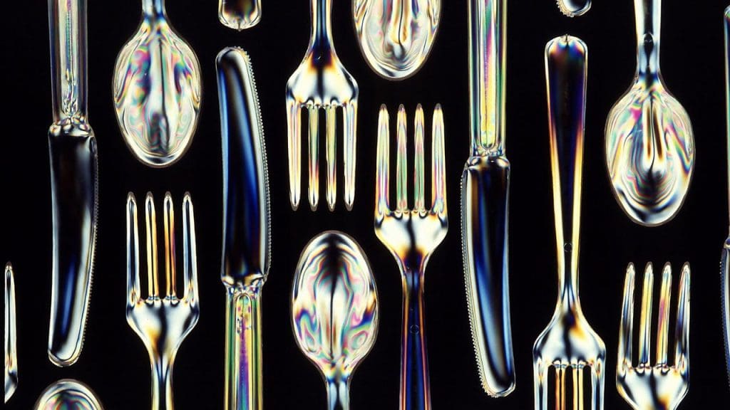 The Rise of Biodegradable Plastics