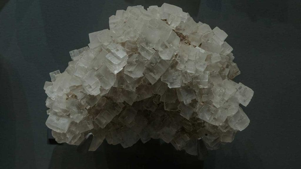 The Science Behind the Transformation