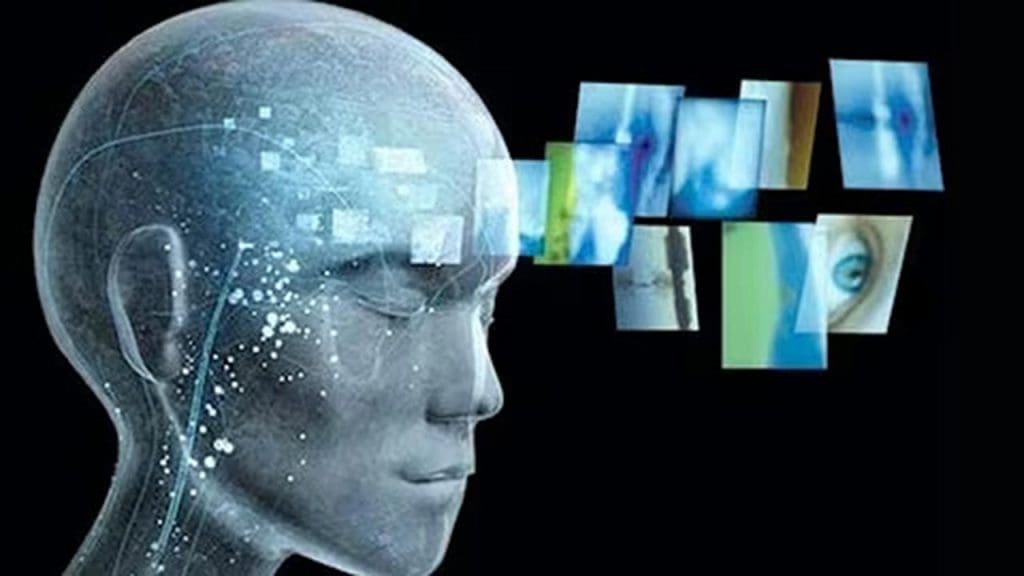 The Theory of Consciousness