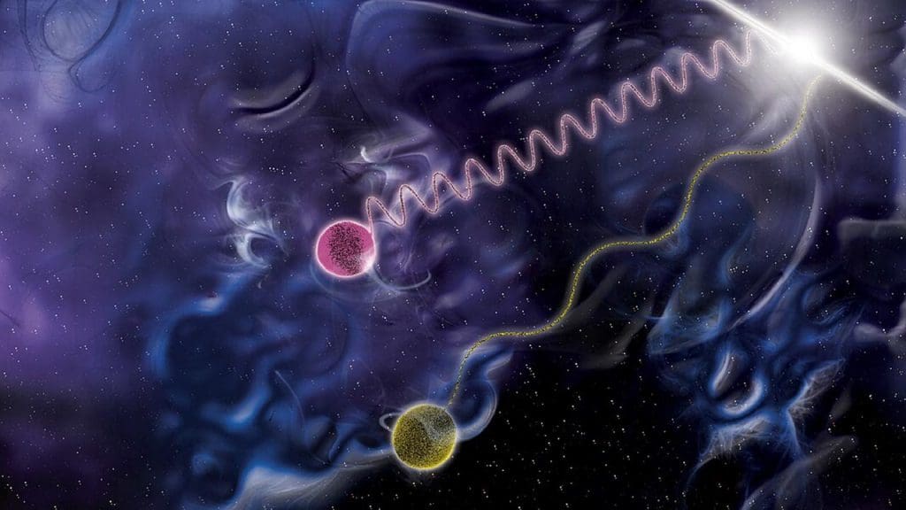 The Theory of Quantum Gravity