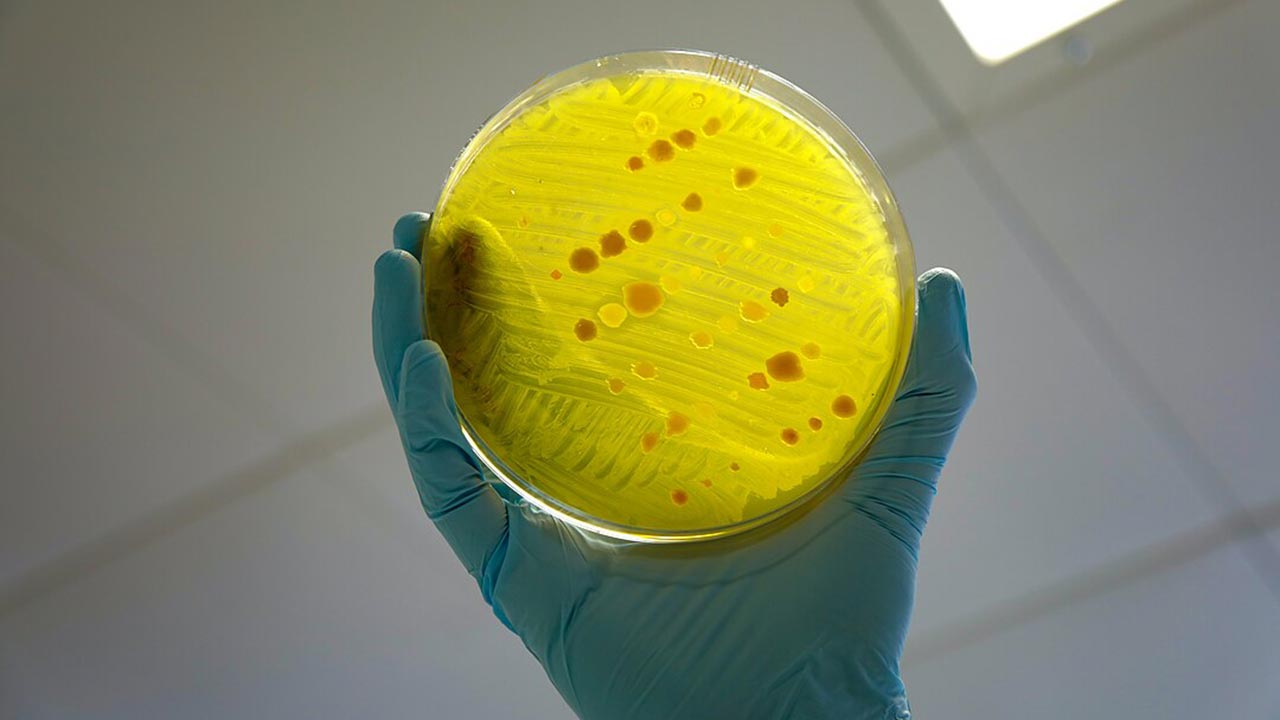 This Tiny Organism Just Survived in Space for 2 Years