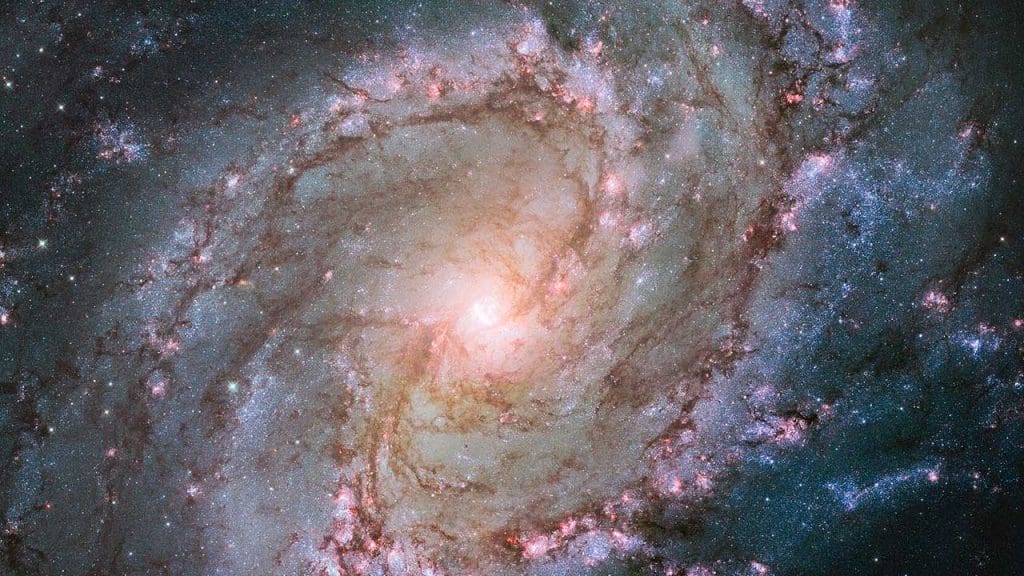 Fine-Tuning of the Universe