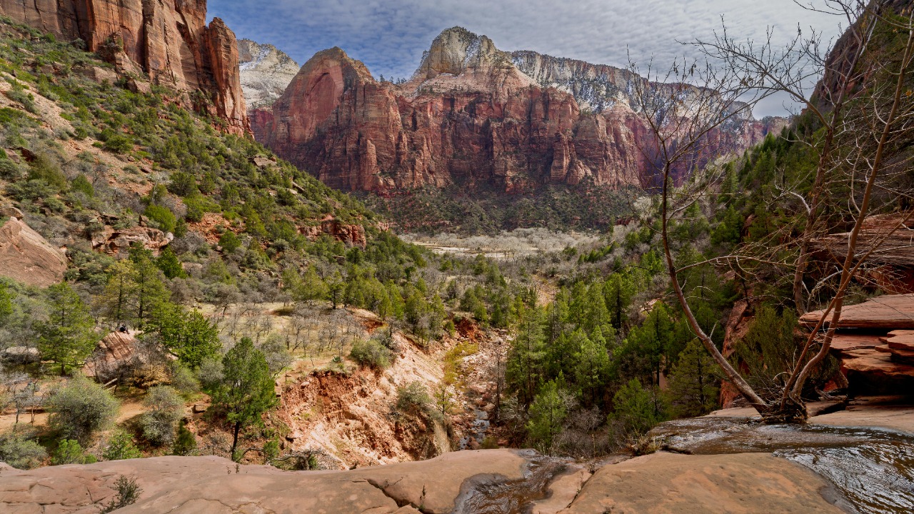 James Mirakian/Pexels