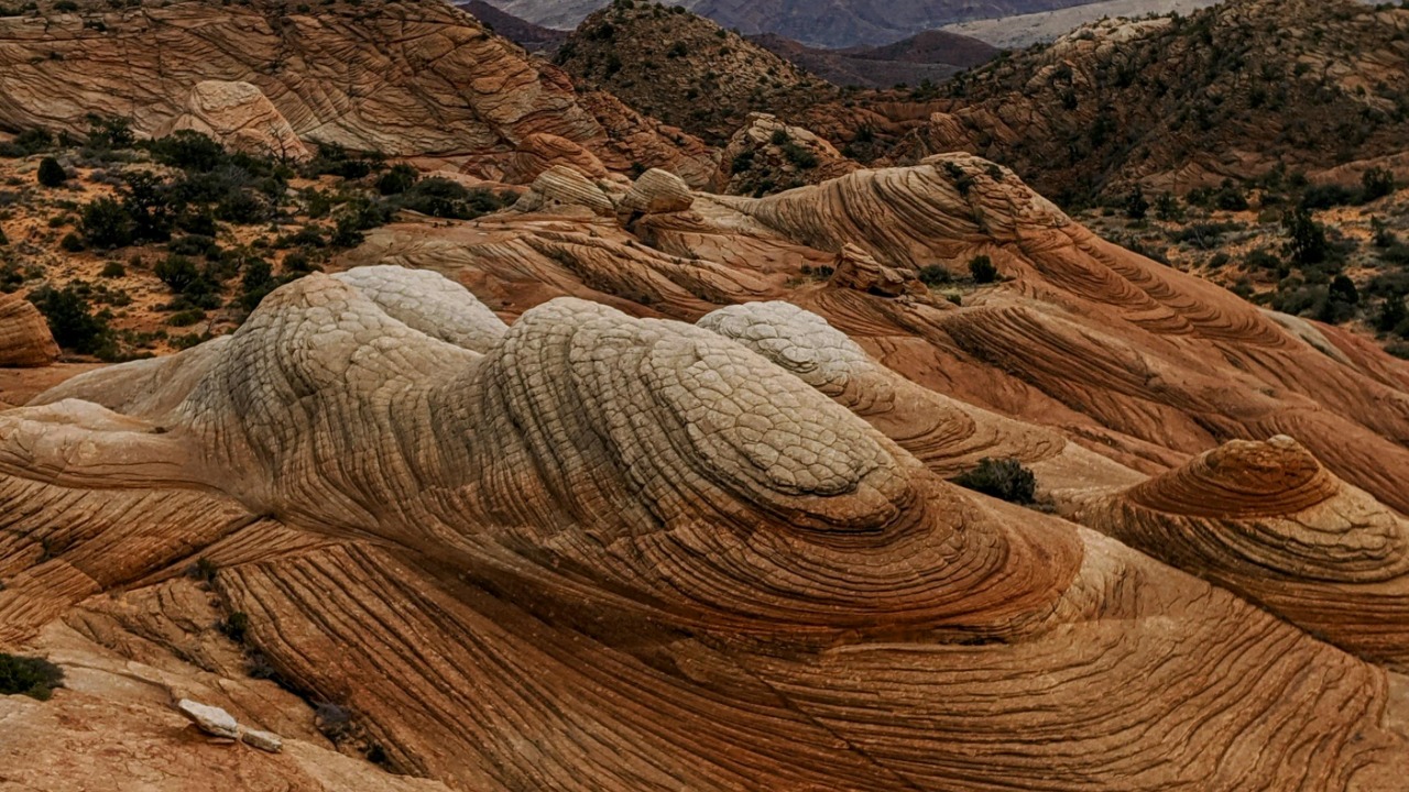 Patrick Boyer/Pexels