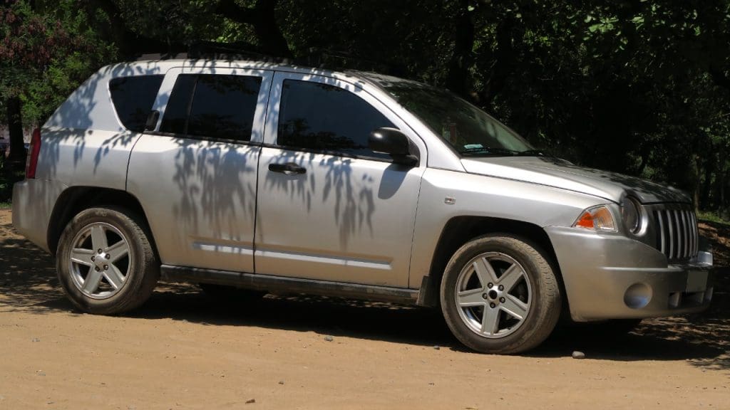 Image Credit: RL GNZLZ from Chile - CC BY-SA 2.0/Wiki Commons