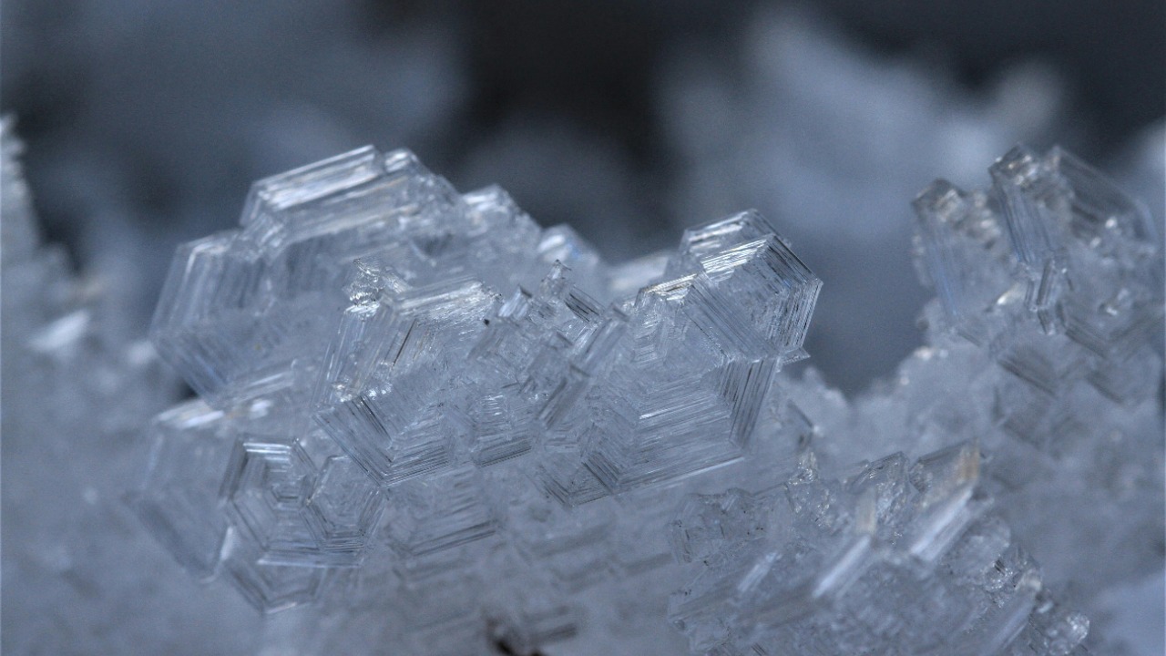 Federica Flessati/Pexels