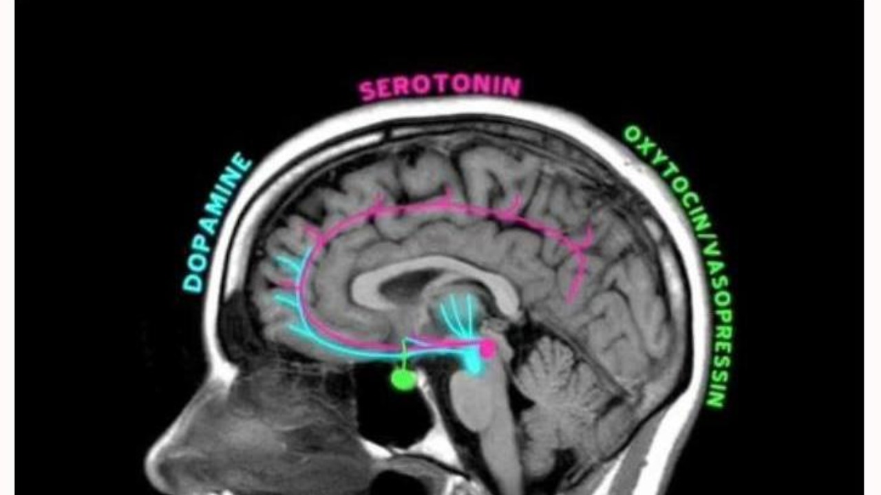 Image Credit: Χαράλαμπος Γκούβας (Harrygouvas) - CC BY-SA 3.0/Wiki Commons