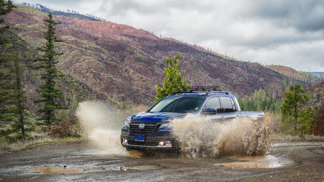 Image Credit: Jennie Logan - CC BY-SA 4.0/Wiki Commons