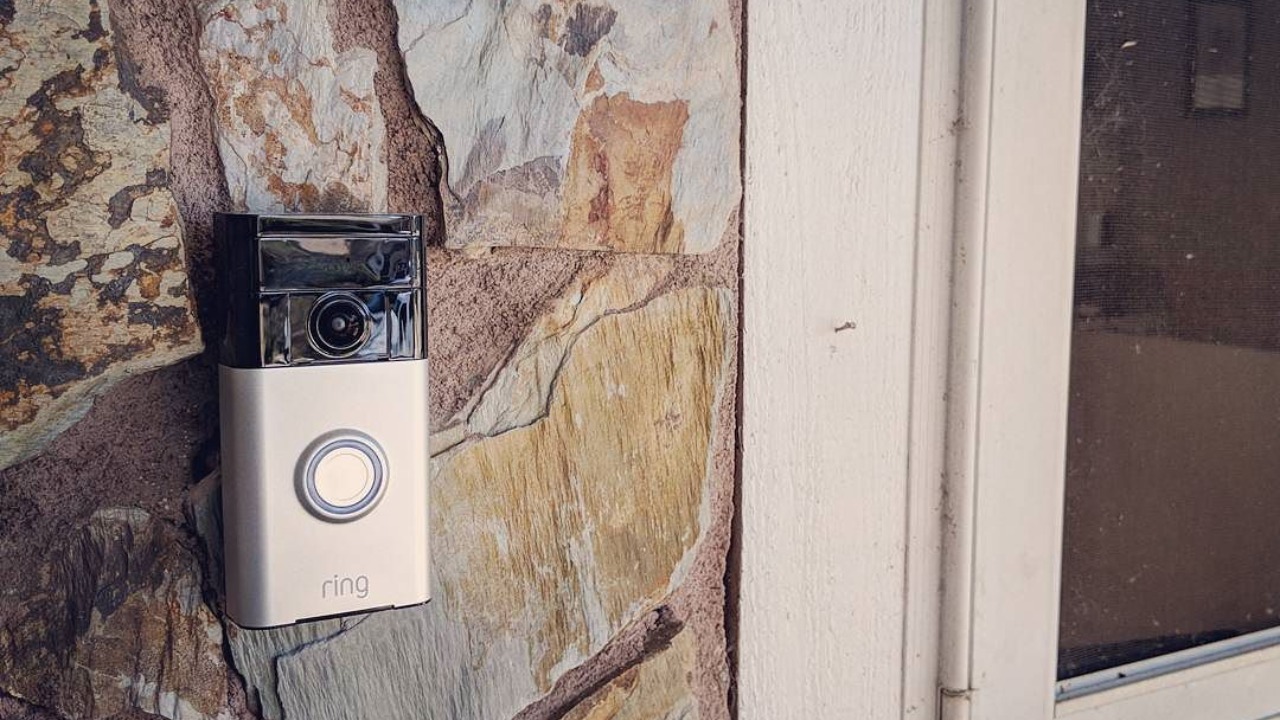 Image Credit: Robert Nelson from Tarpon Springs, Florida, USA - CC BY 2.0/Wiki Commons