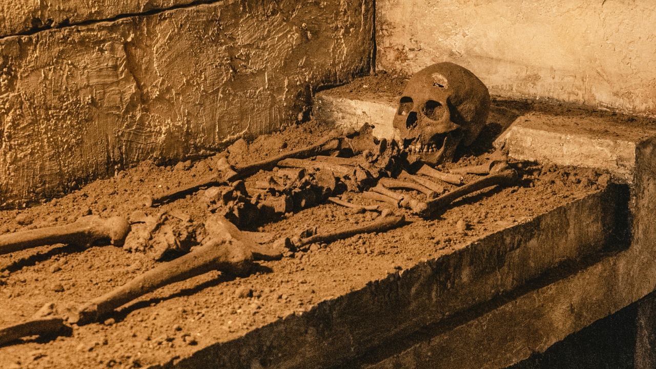 Halil İbrahim ÇETİN/Pexels