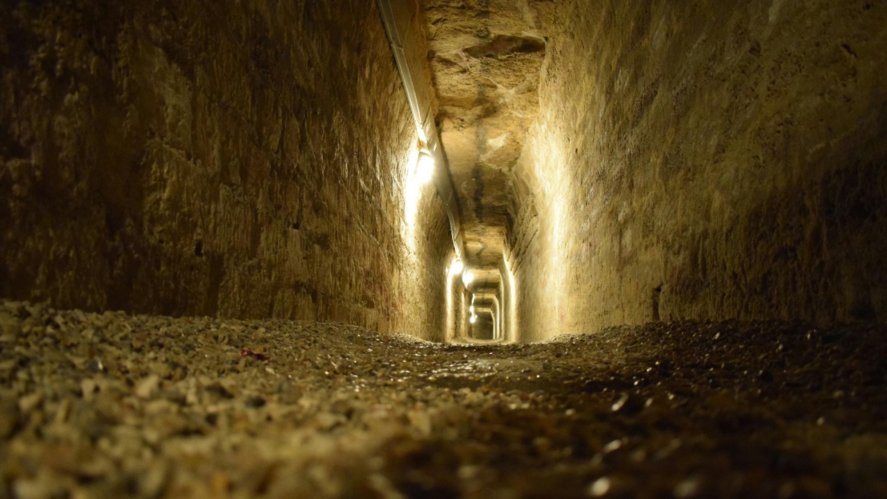 Image Credit: Fernanda W. Corso/Pexels