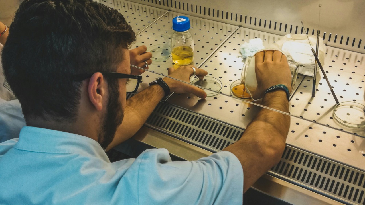 Image Credit: Czapp Árpád/Pexels