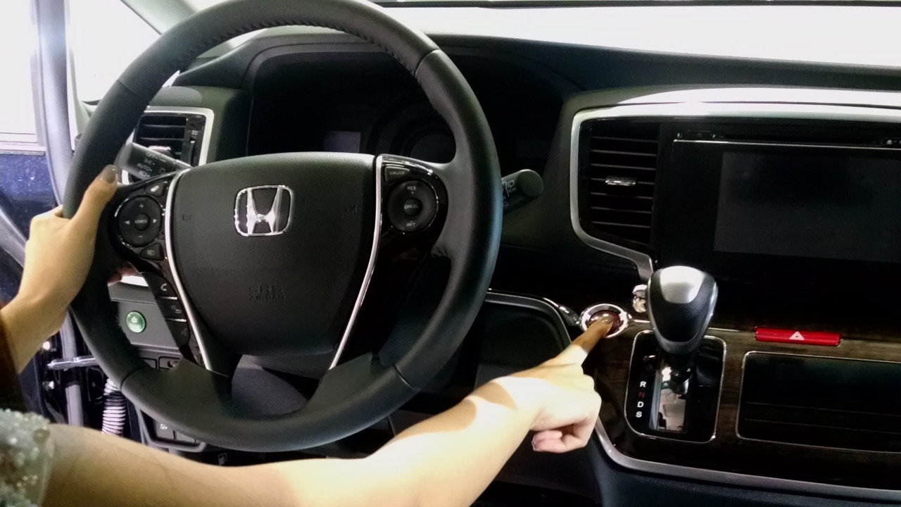 Image Credit: ScrewsHirsch - CC BY-SA 4.0/Wiki Commons