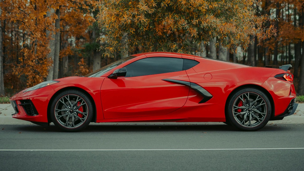 Image Credit: Ushindi Namegabe/Pexels