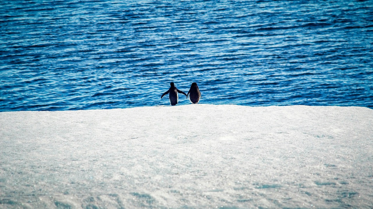 Image Credit: Сергей/Pexels