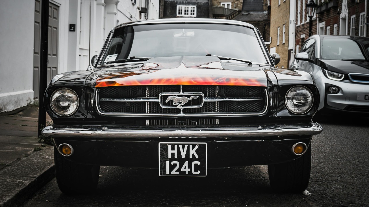 Image Credit: Adrian Dorobantu/Pexels