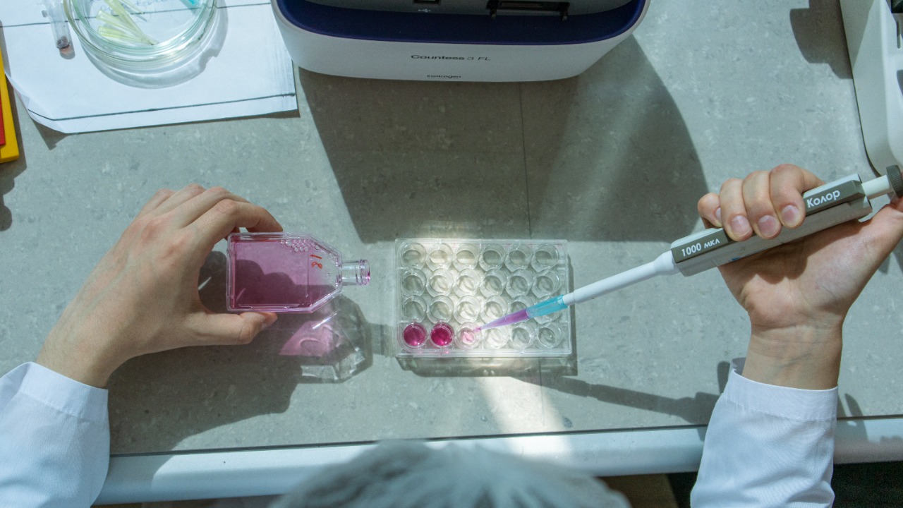 Image Credit: Ibrahim Khairov - CC BY 4.0/Wiki Commons