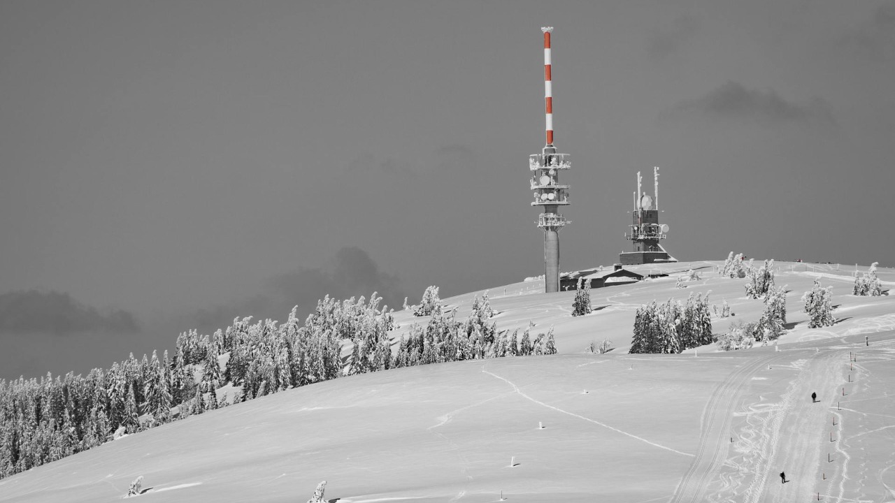 Image Credit: mali maeder/Pexels