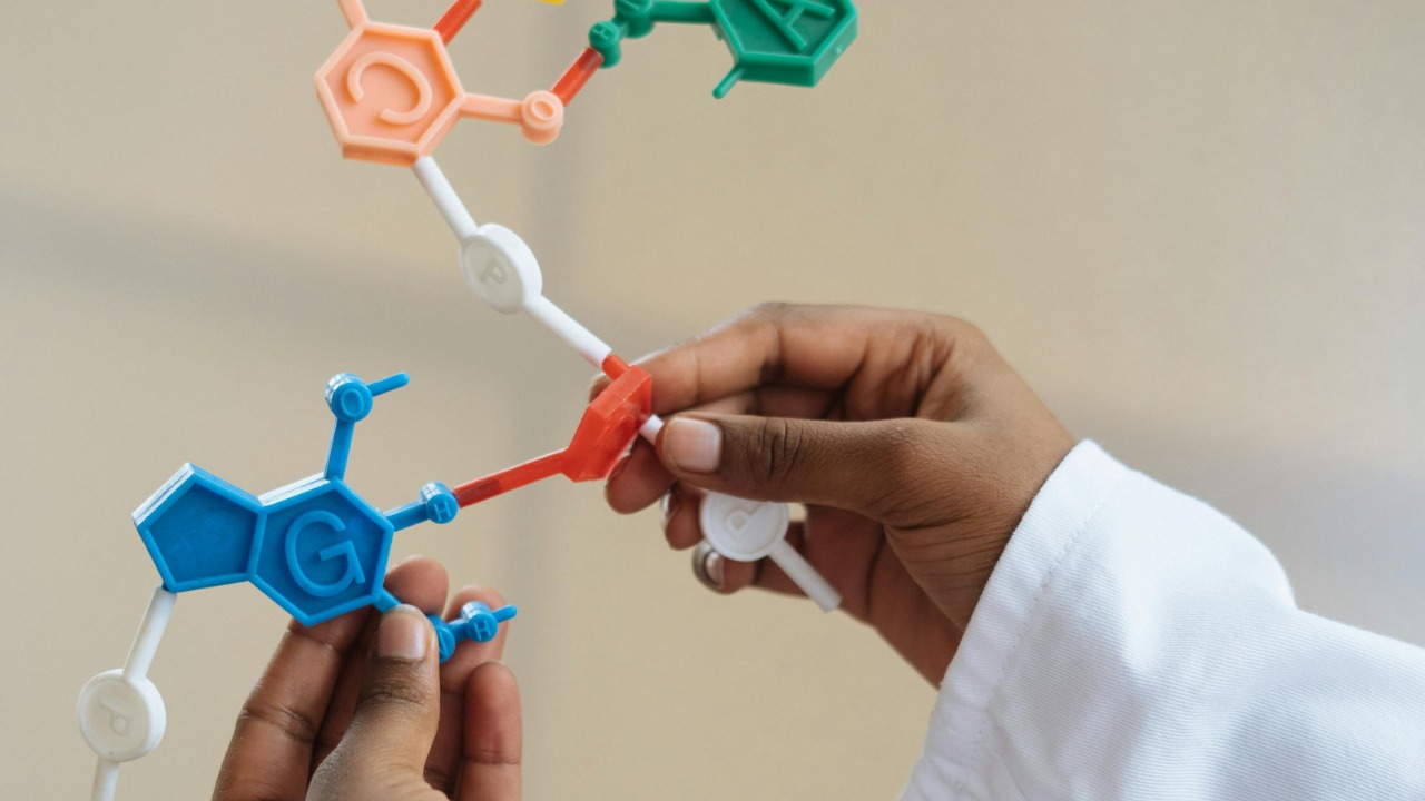 Image Credit: RF._.studio _/Pexels