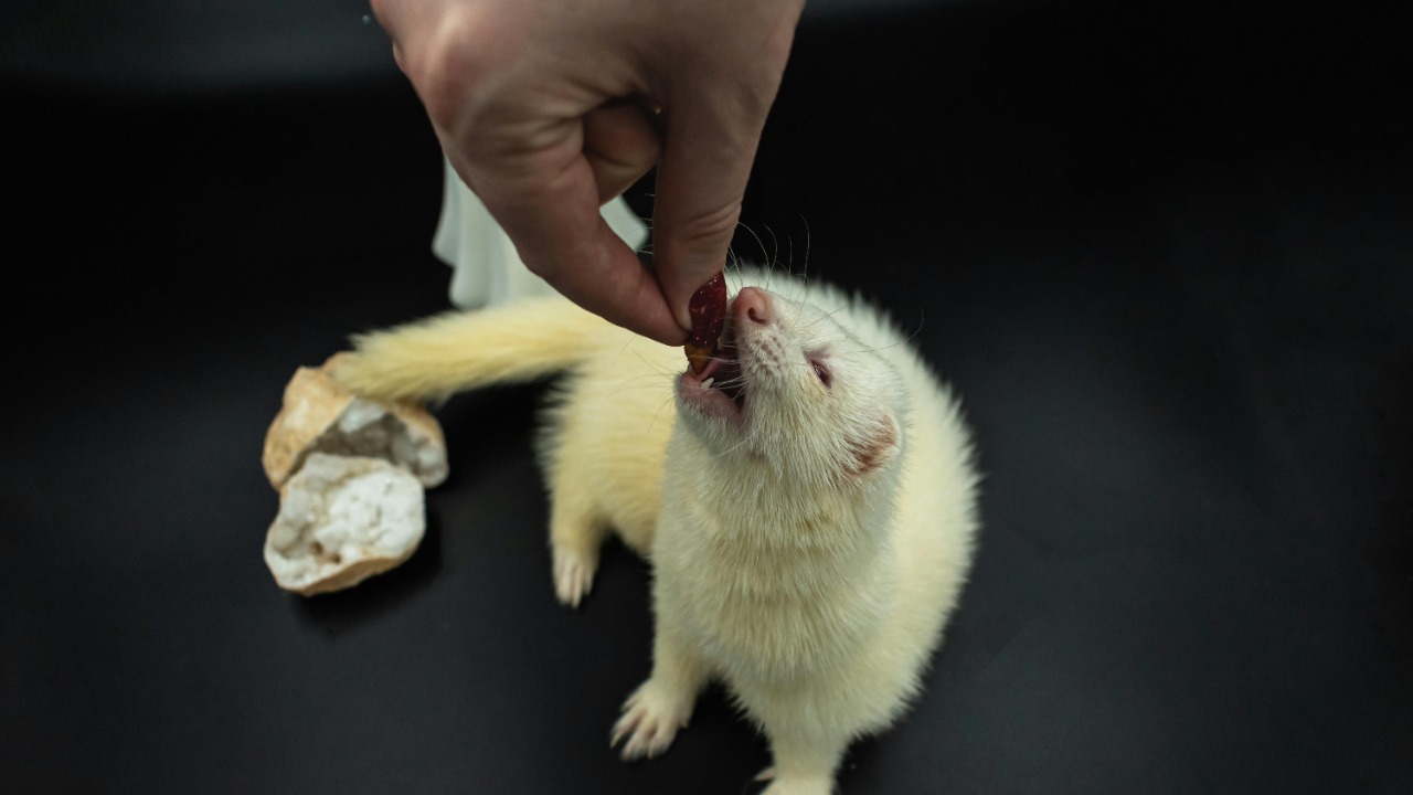 Image Credit: Nikolett Emmert/Pexels