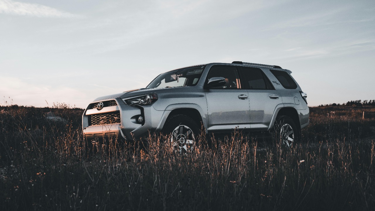 Image Credit: Erik Mclean/Pexels