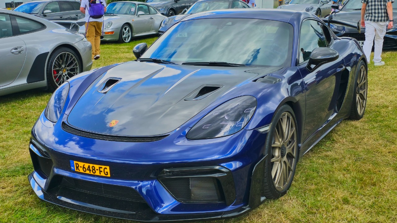 Image Credit: Calreyn88 - CC BY-SA 4.0/Wiki Commons