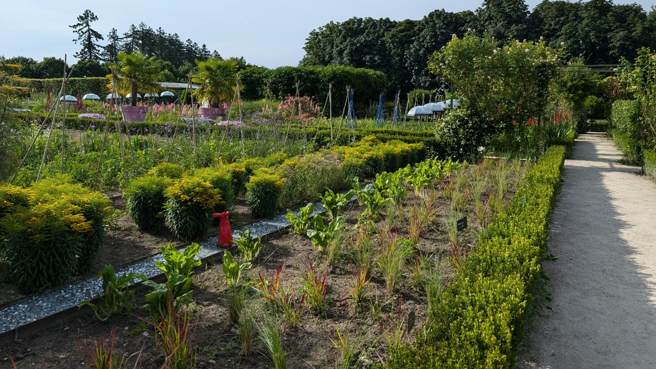 Image Credit: A garden filled with lots of different types of plants — Carnet de Voyage d'Alex
