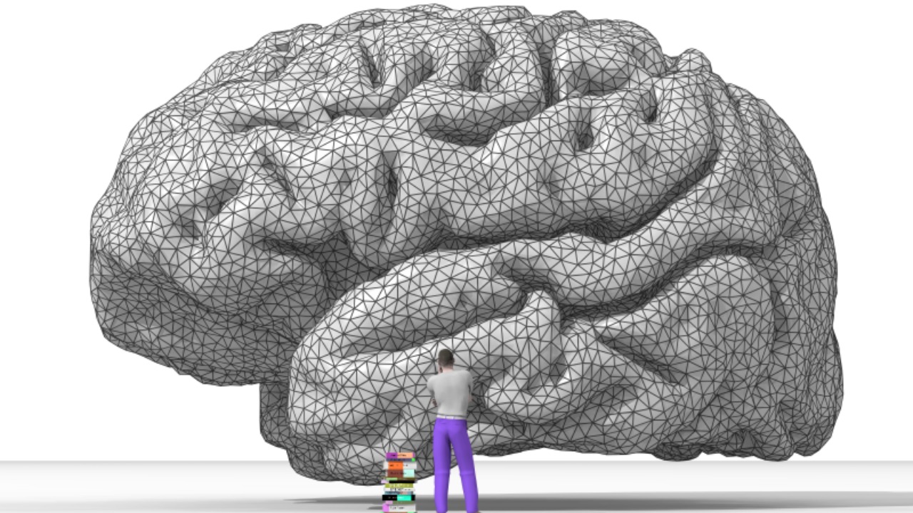 Image Credit: Nicolas Rougier - GPL/Wiki Commons