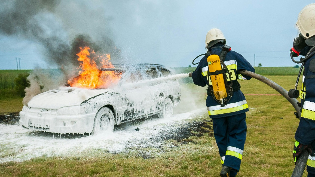 Image Credit: Pixabay/Pexels