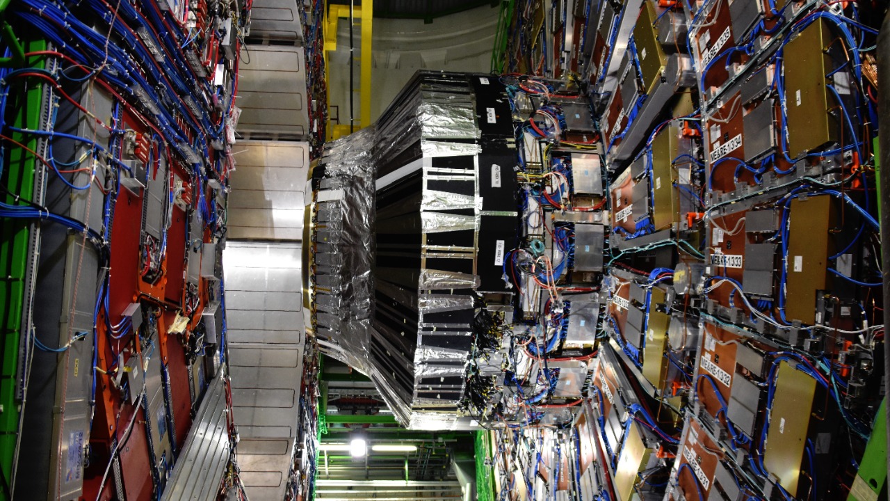 Image Credit: SimonWaldherr - CC BY-SA 4.0/Wiki Commons