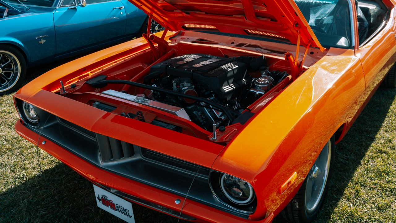 Image Credit: Ömer Derinyar/Pexels