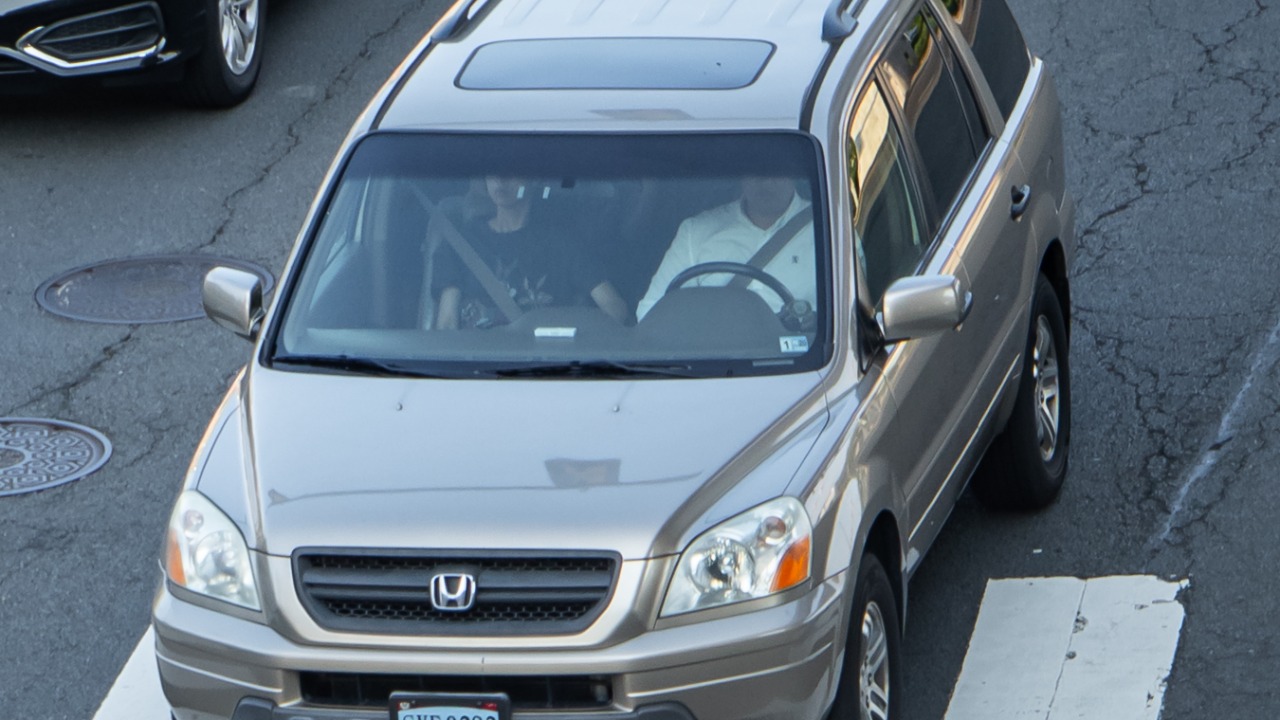 Image Credit: OWS Photography - CC BY 4.0/Wiki Commons