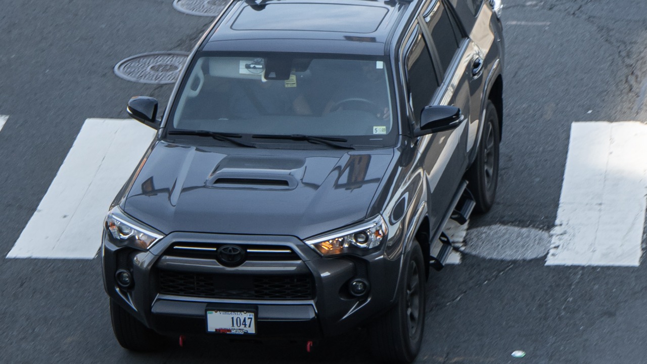 Image Credit: OWS Photography - CC BY 4.0/Wiki Commons