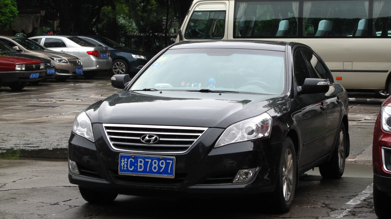 Image Credit: Rutger van der Maar - CC BY 2.0/Wiki Commons