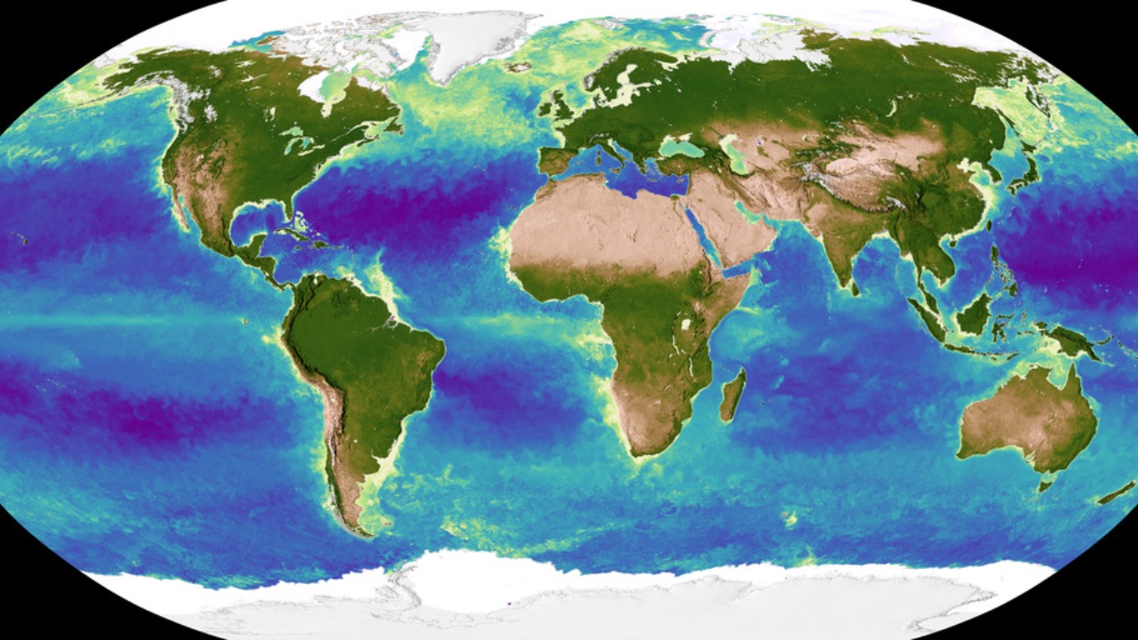 Image Credit: NASA's Scientific Visualization Studio - Global Science and Technology, Inc./Alex Kekesi, NASA/GSFC/Horace Mitchell, NASA/GSFC/Greg Shirah, NASA/GSFC/Jeremy Werdell, NASA/GSFC/Sean W. Bailey, NASA/GSFC/Compton Tucker, ADNET Systems, Inc./Laurence Schuler, ADNET Systems, Inc./Ian Jones - Public domain/Wiki Commons