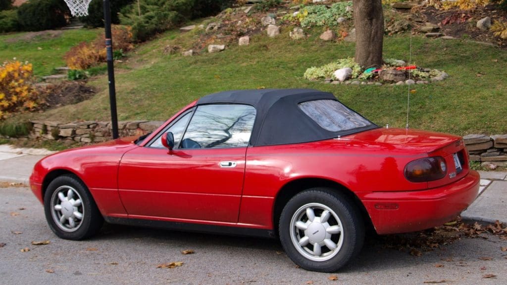 Image Credit: Michael Gil from Calgary, AB, Canada - CC BY 2.0/Wiki Commons