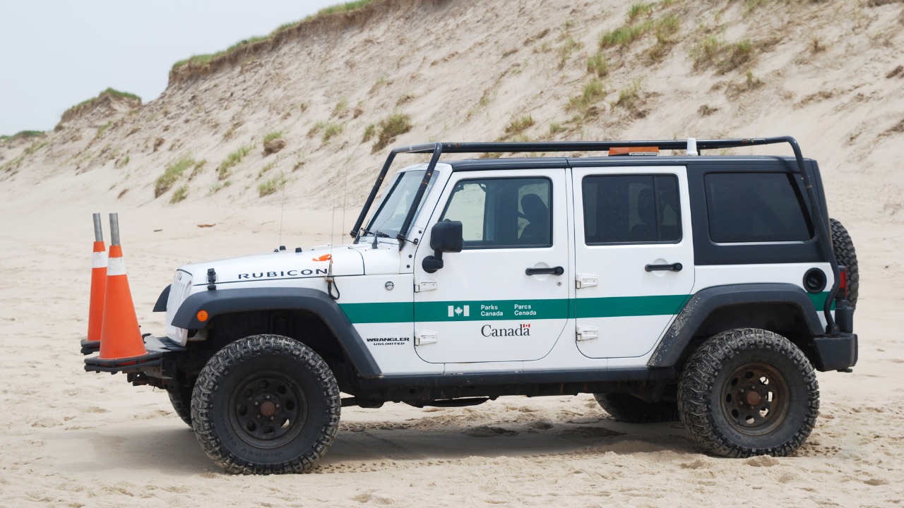 Image Credit: Ryan Sharpe - CC BY-SA 4.0/Wiki Commons